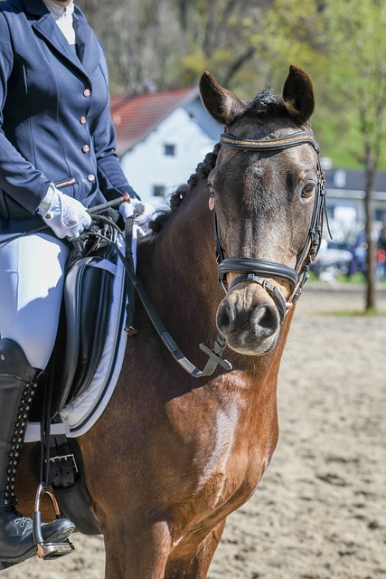 2023卡塔爾亞洲杯：鈴木彩艷失球送巴林烏龍！久保建英破門！日本3-1巴林晉級八強！.