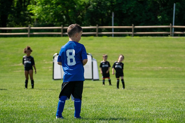 或许正是一 或许正是一