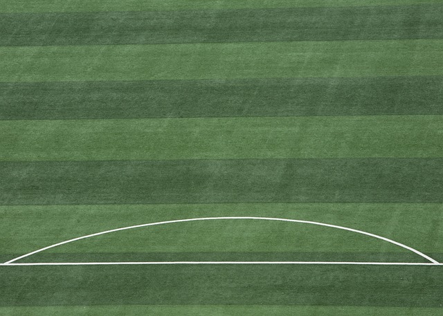 上港蛇年不顺 武磊养伤 魏震被禁赛3场 冬训第一场比赛还是输了.